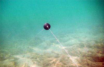 Pescuit :) - flotor-fir-pescuit-crap.jpg